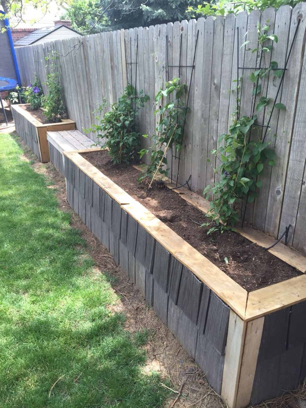 DIY Edge Garden Ideas