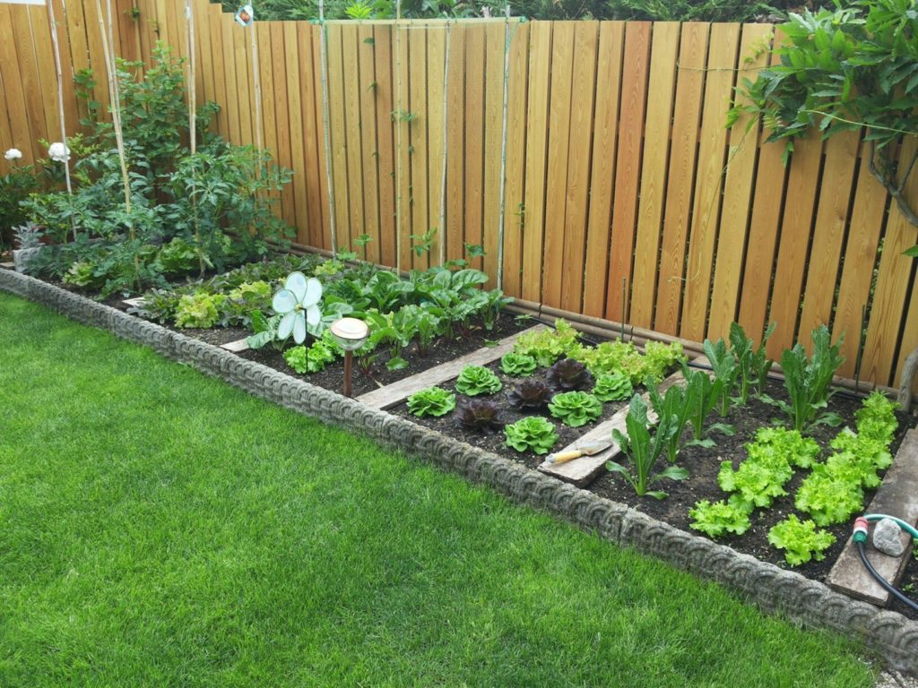 vegtable garden edge ideas