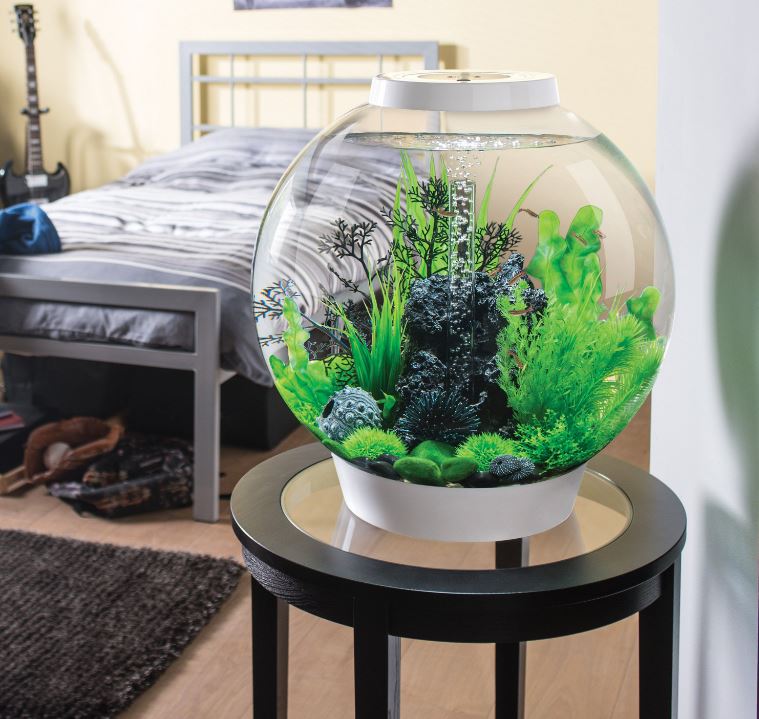 Amazing Fish Aquarium Ideas