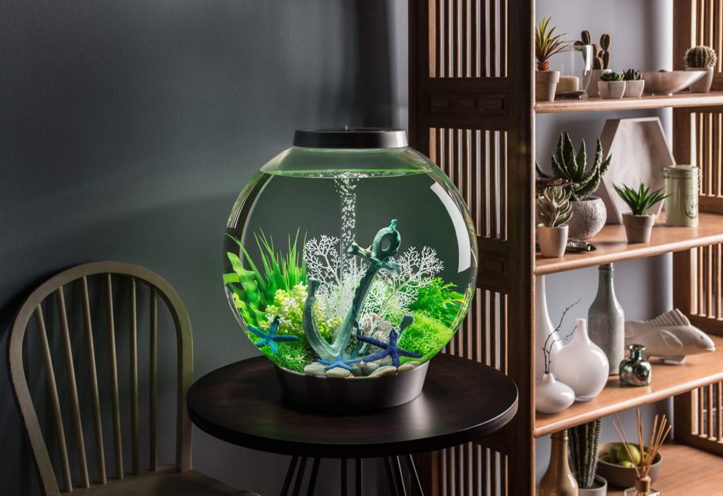 Glass Round Aquarium Ideas