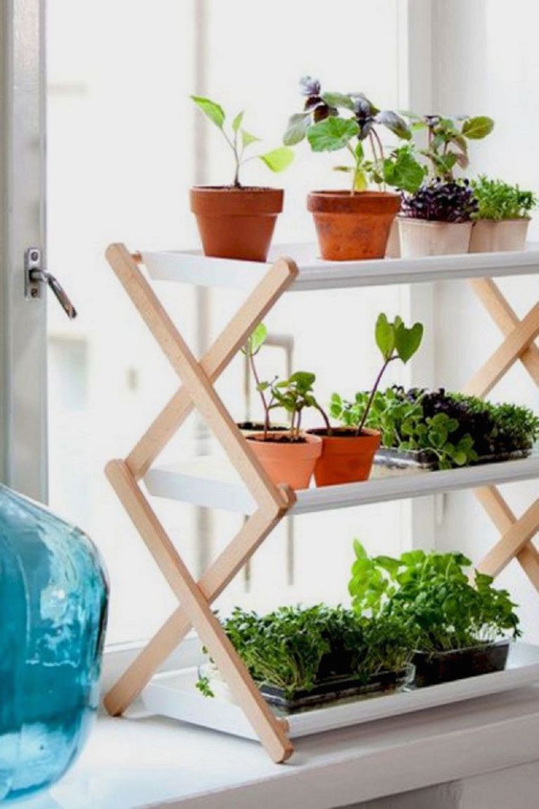 Mini Indoor Herbal Garden Design