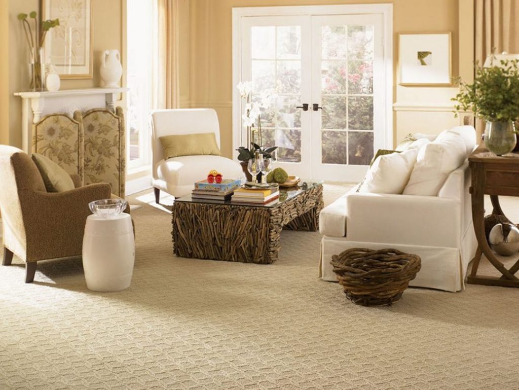 Simple Living Room Carpet Ideas