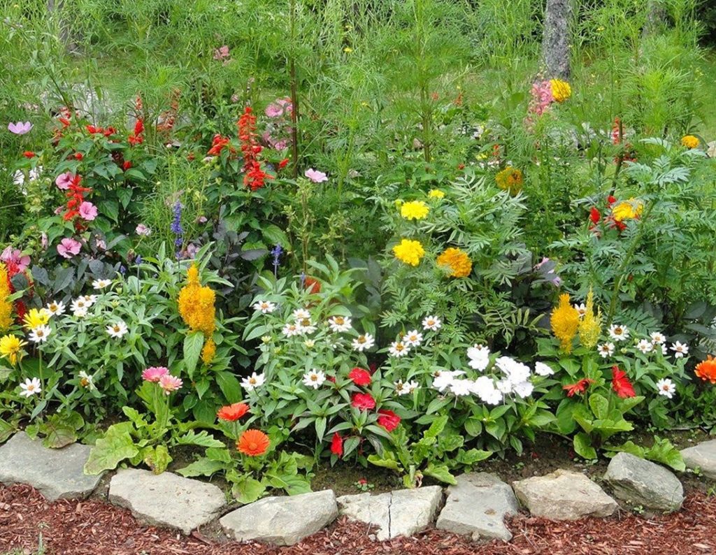 Home Gardening Flowers and Vegetables ideas