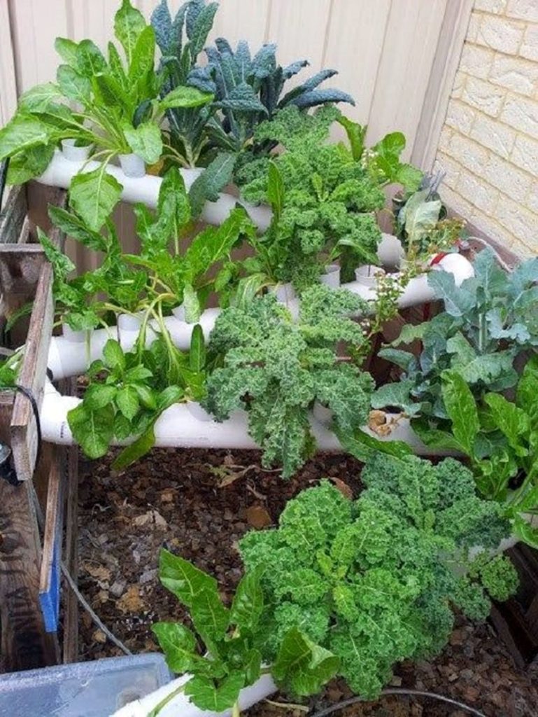DIY Hydroponic Vertical Garden Ideas To Grow Food